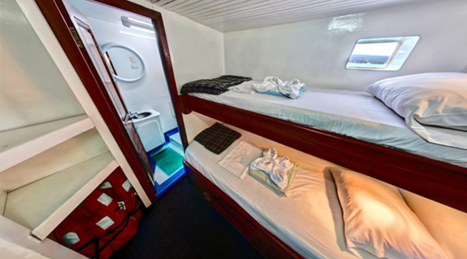 double bed cabin of darwin yacht of galapagos islands