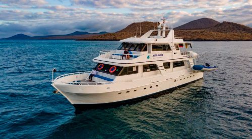 aida maria cruiser front galapagos islands tours