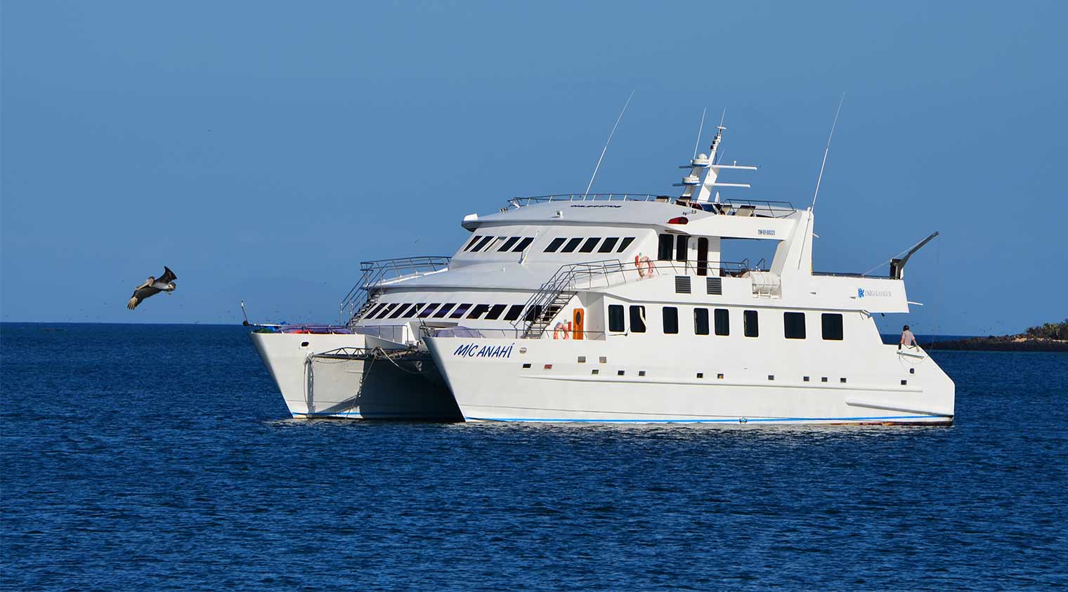 anahi catamaran yacht of galapagos islands