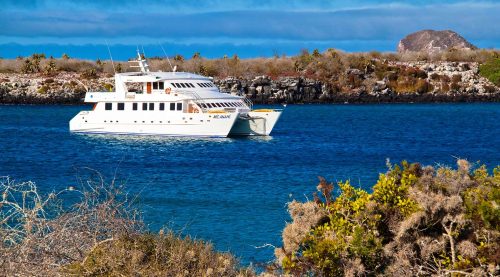 anahi catamaran yacht of galapagos islands