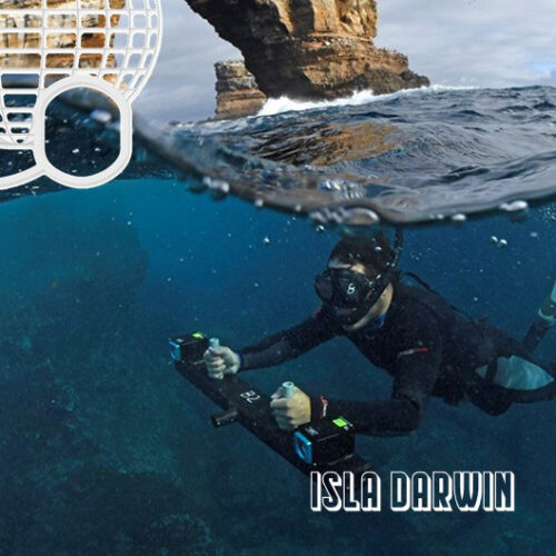 darwin island scuba diving galapagos islands