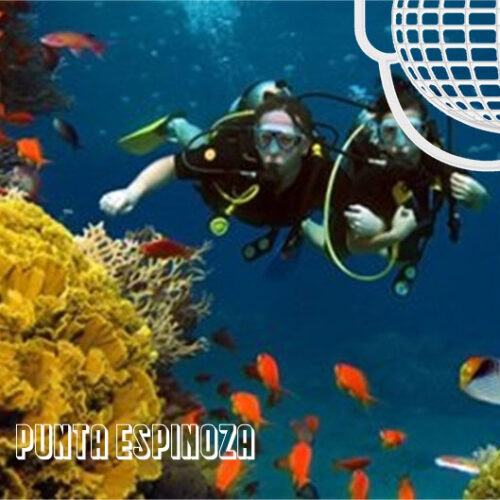 punta espinoza coral scuba diving galapagos islands
