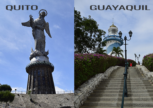 The lodging in Guayaquil or Quito, before travelling to the Galapagos islands