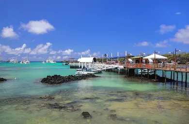 santa cruz pier galapagos islands