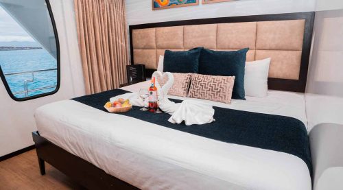 king size bed bedroom of alya yacht of galapagos islands tours