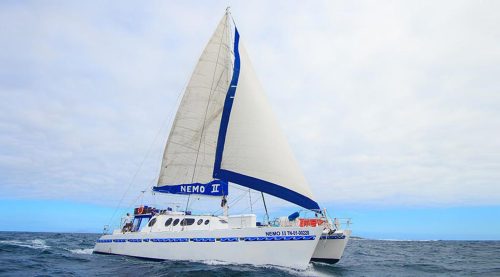 nemo 2 yacht of galapagos islands