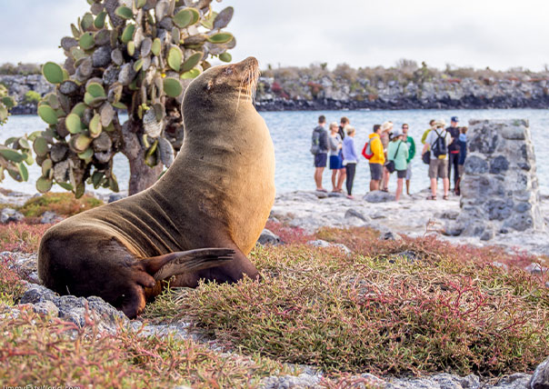 posing sea lion with people of galapagos islands tours
