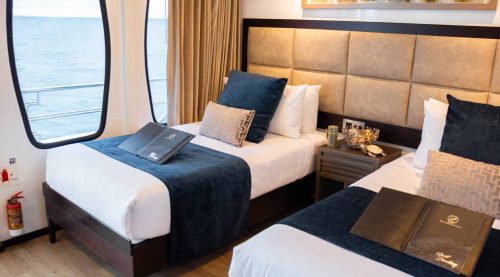double bed bedroom of alya yacht of galapagos islands tours