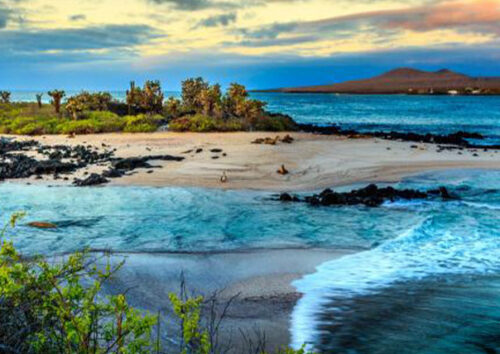santa fe island of galapagos islands tours