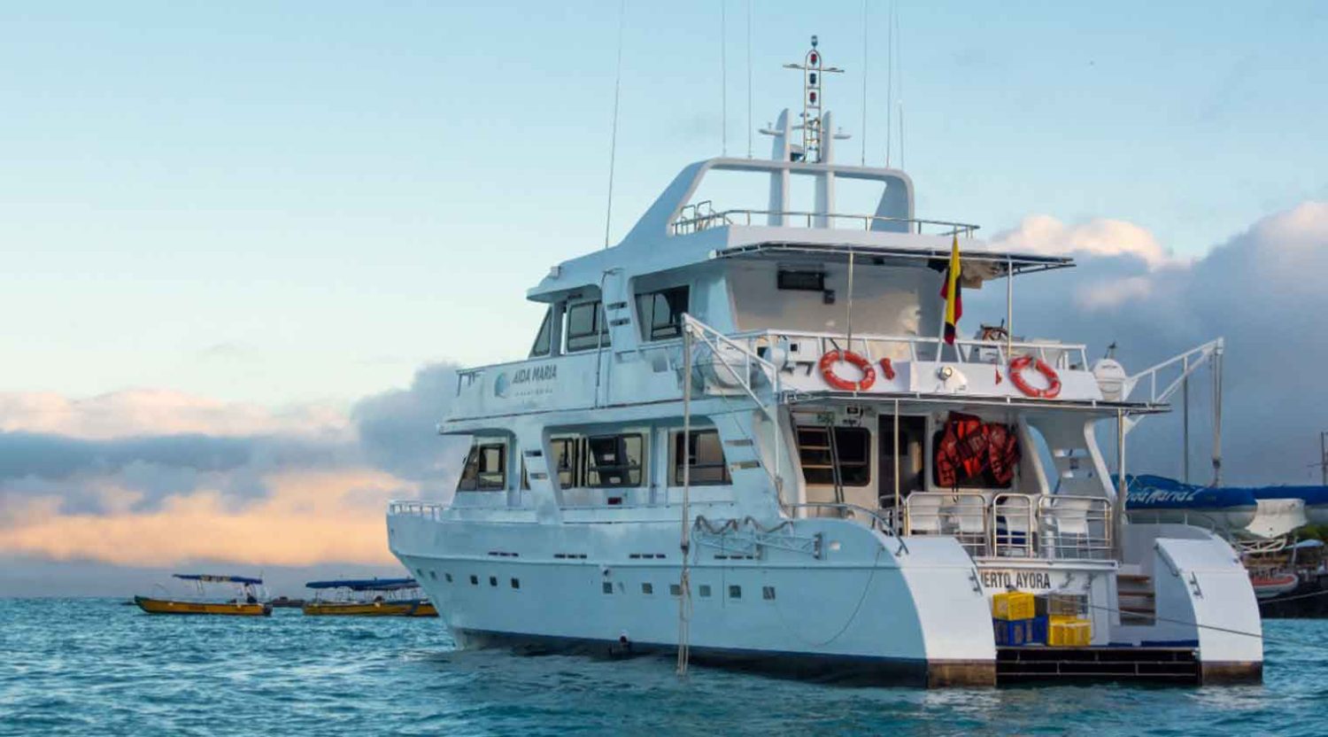 aida maria yacht back galapagos islands tours