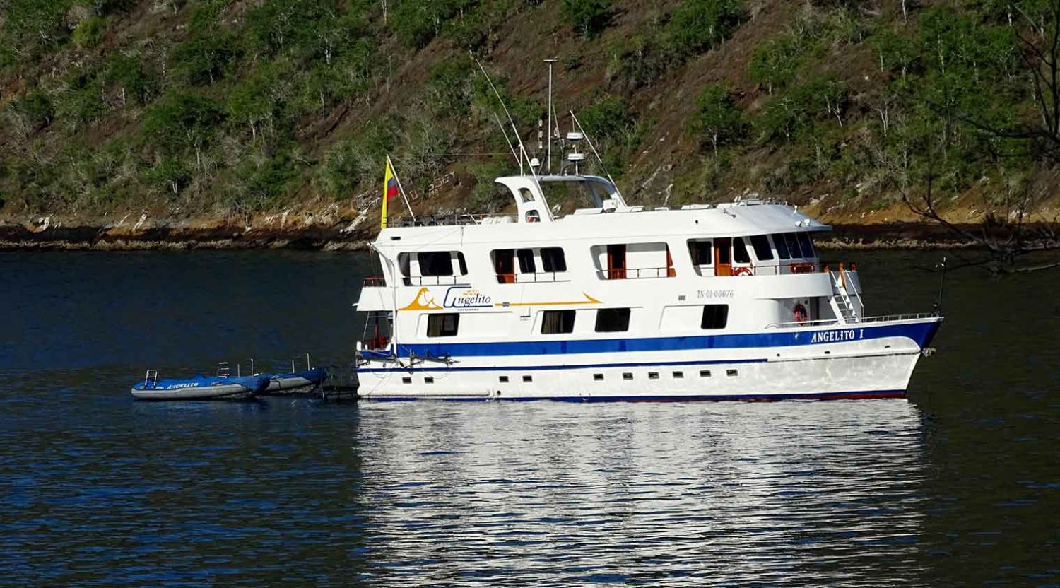angelito yacht front galapagos islands tours