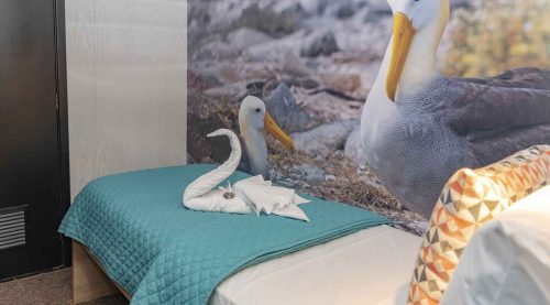 twin size bed bedroom side photo of galapagos islands tours