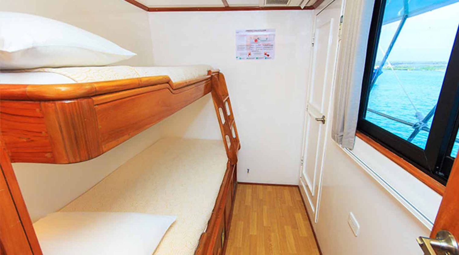 double bed cabin eden yacht of galapagos islands