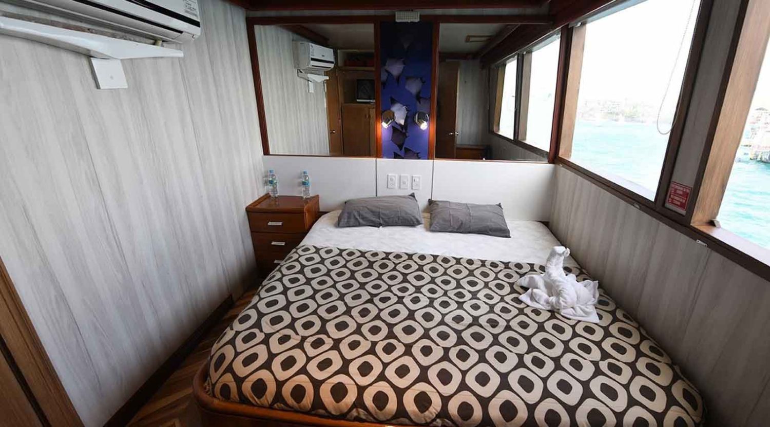 king size bed bedroom of humboldt explorer yacht of galapagos islands