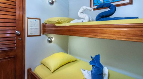 tow bed cabin of aida maria yacht of galapagos islands