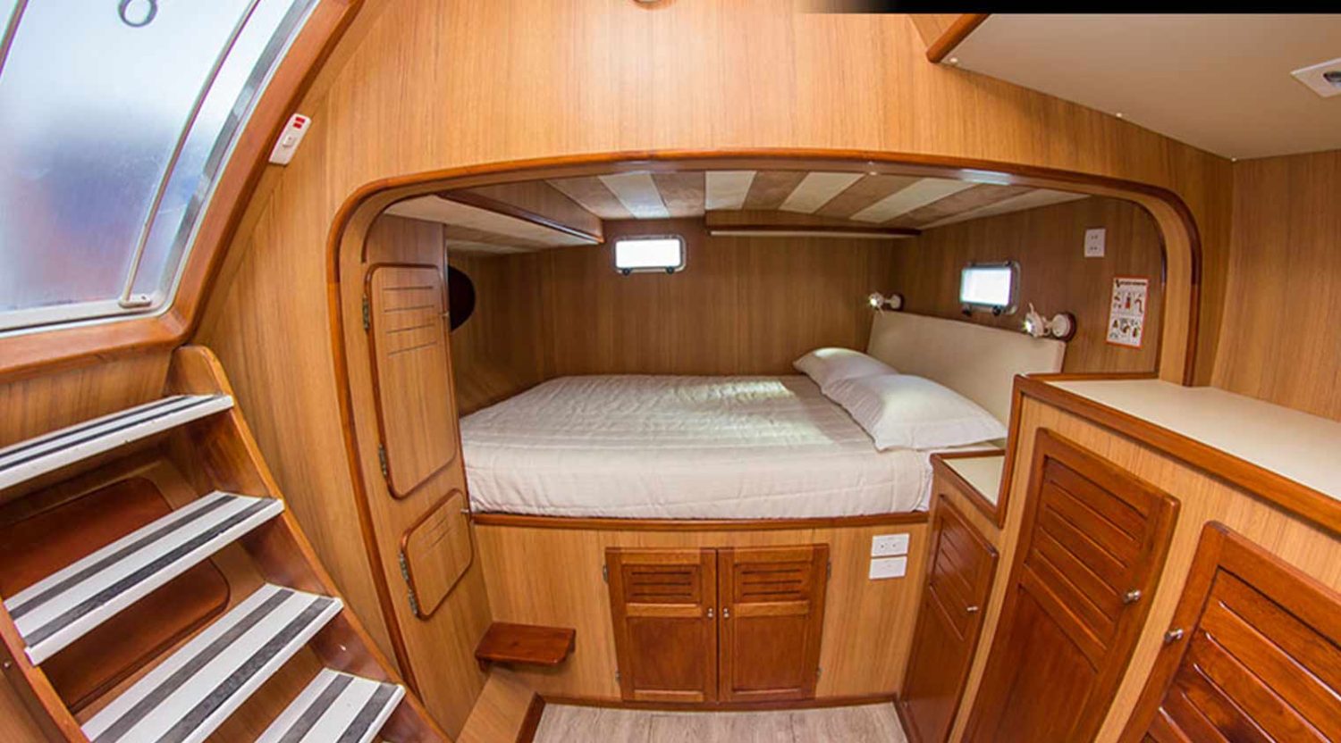 queen size bed cabin nemo 3 yacht of galapagos islands