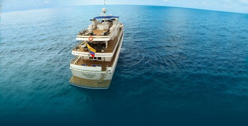 stella maris cruiser back galapagos islands tours 1