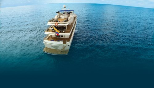 stella maris cruiser back galapagos islands tours