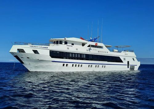 Tiburon Explorer Galapagos islands