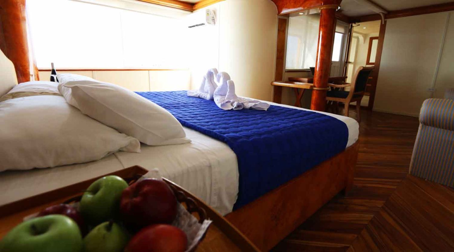 millenium catamaran yacht king size bed bedroom of galapagos islands tours 1