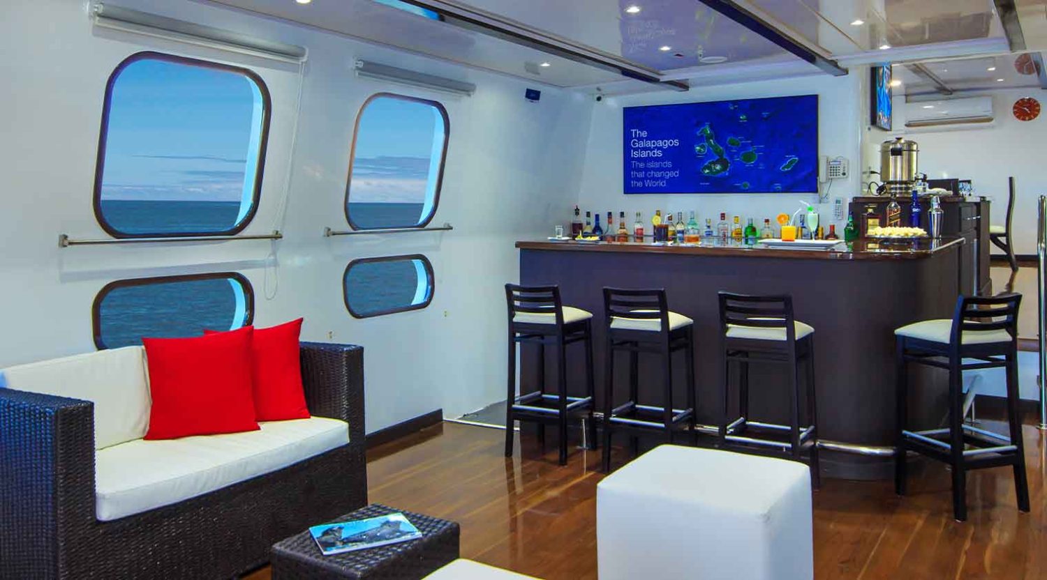 bar of natural paradise yacht of galapagos islands tours