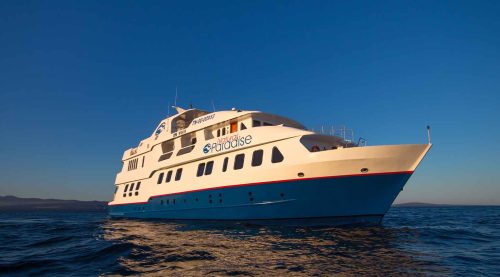 natural paradise yacht of galapagos islands tours