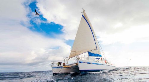 nemo 3 yacht of galapagos islands