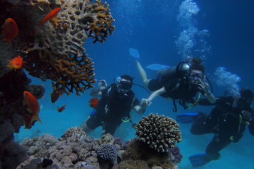 Select a Reputable Dive Operator