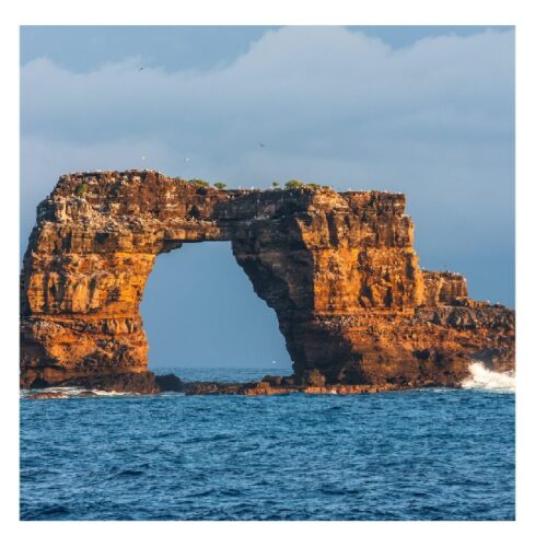 Darwin s Arch