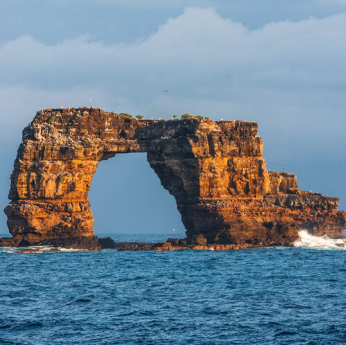 hammerhead sharks in Galapagos, there are no two more renowned islands than Darwin and Wolf