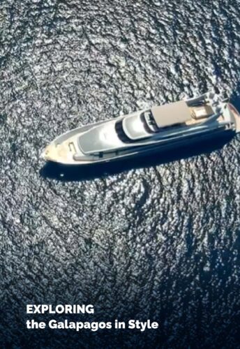 exploring galagos with style