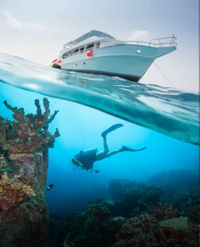 Luxury Yachts in Galapagos: Sailing into an Untouched Paradise