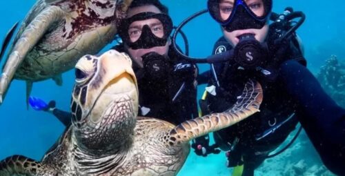 Dive into Luxury Dive into the Galapagos