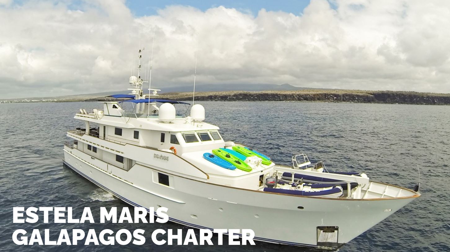 Stella Maris Galapagos Charter The Epitome of Luxury in the Galapagos Islands